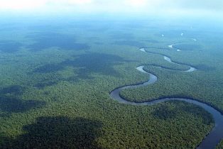 Les forêts de l’Afrique, « poumons du monde »