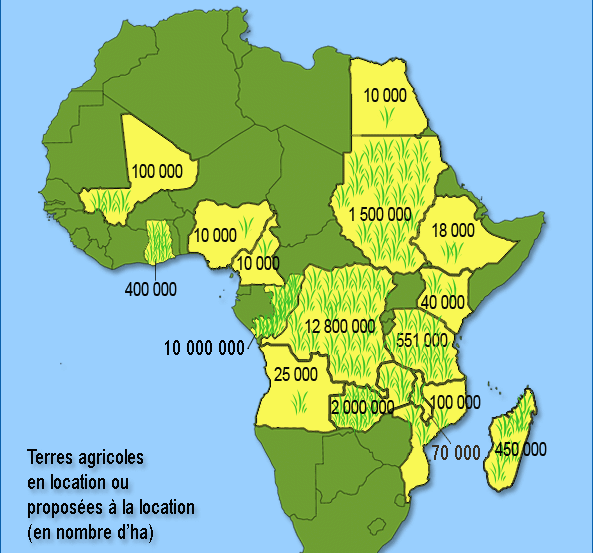 Les arguments contre la cession des terres en Afrique aux grands groupes internationaux