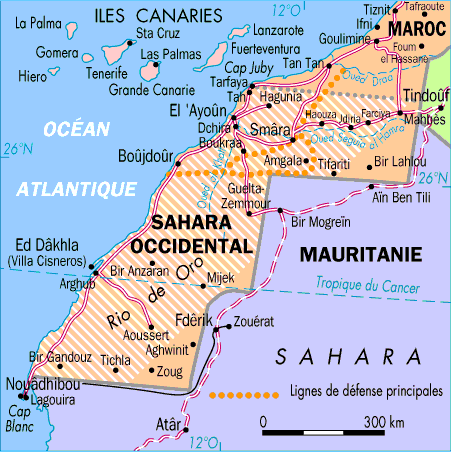 Sahara occidental : un dossier qui peine à sortir de l'impasse - L'Afrique  des Idées