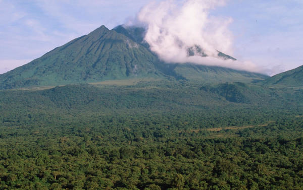 Quelle est la valeur du patrimoine écologique ? Le cas de Virunga (RDC)
