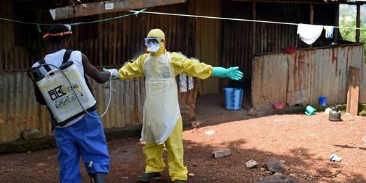 Ebola, une terreur politico-économique