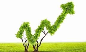 Quels sont les défis et opportunités de financement de l’économie verte en Afrique ?