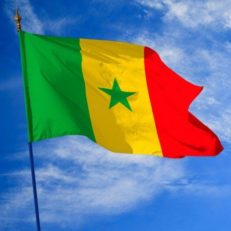 The threats to the democratic institutions of Senegal: An autocracy in the making
